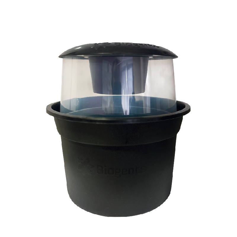 Piège Pondoir Anti-Moustiques & Moustiques Tigres – BG-GAT