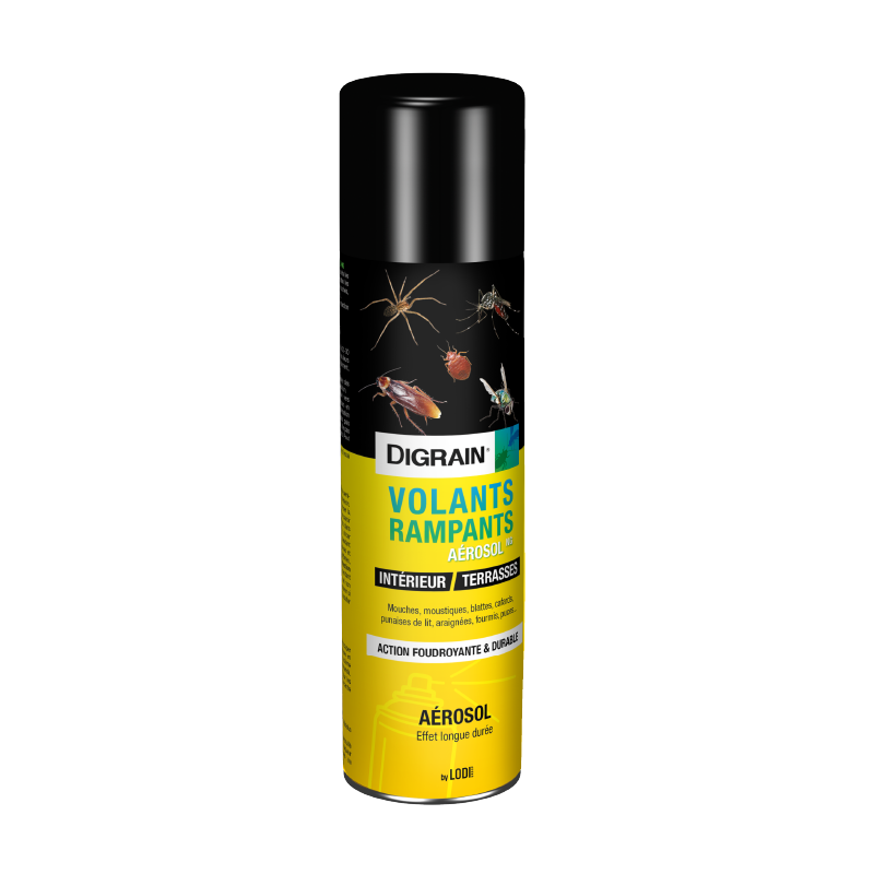 Digrain Aérosol Insectes Volants & Rampants – 500ml